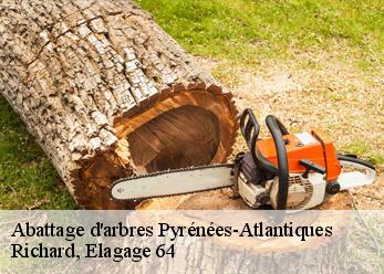Abattage d'arbres 64 Pyrénées-Atlantiques  Richard, Elagage 64