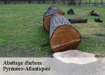 Abattage d'arbres Pyrénées-Atlantiques 