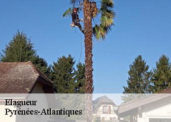 Elagueur Pyrénées-Atlantiques