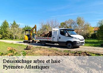 Dessouchage arbre et haie Pyrénées-Atlantiques 
