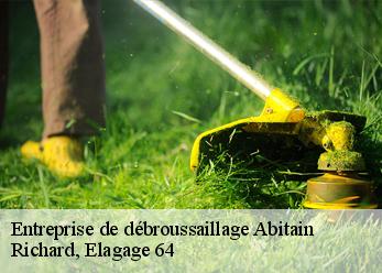 Entreprise de débroussaillage  abitain-64390 Richard, Elagage 64