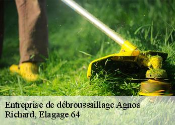 Entreprise de débroussaillage  agnos-64400 Richard, Elagage 64