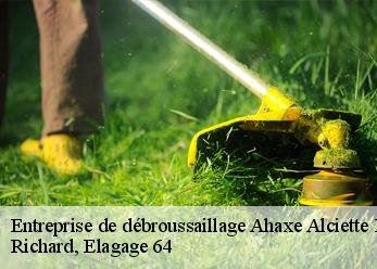 Entreprise de débroussaillage  ahaxe-alciette-bascassan-64220 Richard, Elagage 64