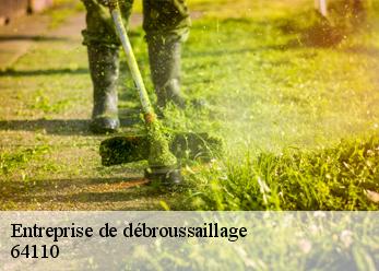 Entreprise de débroussaillage 64110