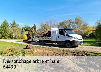 Dessouchage arbre et haie  64490