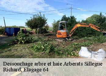 Dessouchage arbre et haie  arberats-sillegue-64120 Richard, Elagage 64