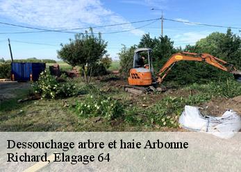 Dessouchage arbre et haie  arbonne-64210 Richard, Elagage 64