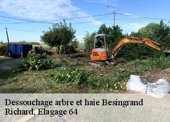 Dessouchage arbre et haie  besingrand-64150 Richard, Elagage 64