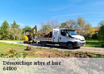 Dessouchage arbre et haie 64800