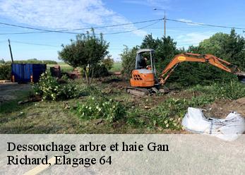 Dessouchage arbre et haie gan-64290 Richard, Elagage 64