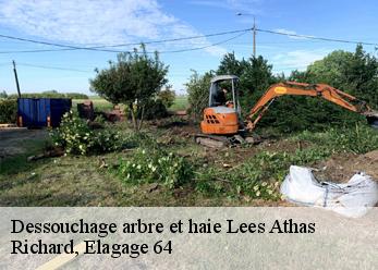 Dessouchage arbre et haie  lees-athas-64490 Richard, Elagage 64