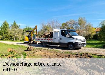 Dessouchage arbre et haie 64150