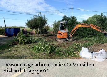 Dessouchage arbre et haie os-marsillon-64150 Richard, Elagage 64