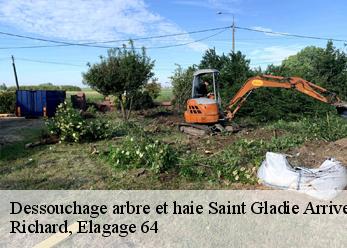 Dessouchage arbre et haie  saint-gladie-arrive-munein-64390 Richard, Elagage 64