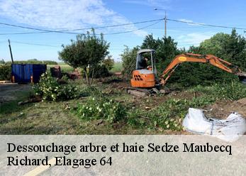 Dessouchage arbre et haie sedze-maubecq-64160 Richard, Elagage 64