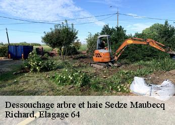 Dessouchage arbre et haie  sedze-maubecq-64160 Richard, Elagage 64