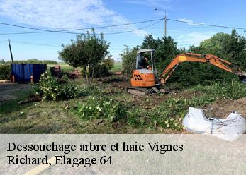 Dessouchage arbre et haie vignes-64410 Richard, Elagage 64