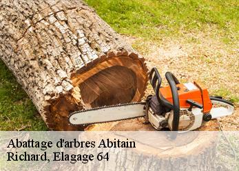 Abattage d'arbres  abitain-64390 Richard, Elagage 64