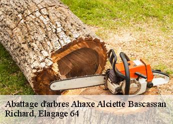 Abattage d'arbres ahaxe-alciette-bascassan-64220 Richard, Elagage 64