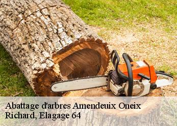 Abattage d'arbres amendeuix-oneix-64120 Richard, Elagage 64