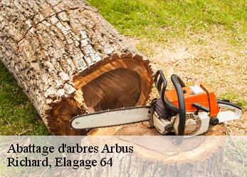Abattage d'arbres  arbus-64230 Richard, Elagage 64