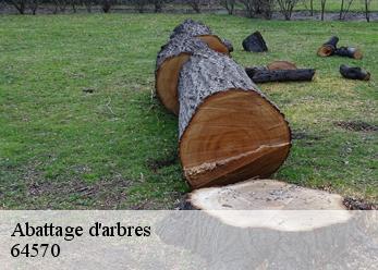 Abattage d'arbres 64570