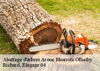 Abattage d'arbres  aroue-ithorrots-olhaiby-64120 Richard, Elagage 64