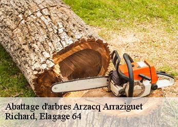 Abattage d'arbres  arzacq-arraziguet-64410 Richard, Elagage 64