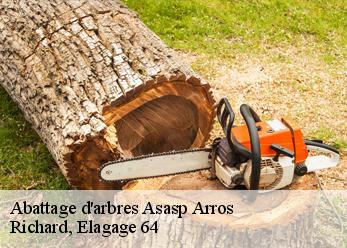 Abattage d'arbres asasp-arros-64660 Richard, Elagage 64