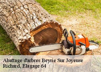Abattage d'arbres  beyrie-sur-joyeuse-64120 Richard, Elagage 64