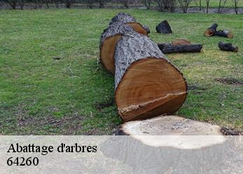 Abattage d'arbres  64260