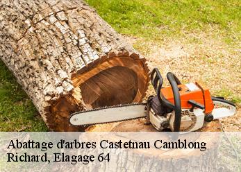 Abattage d'arbres castetnau-camblong-64190 Richard, Elagage 64