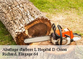 Abattage d'arbres  l-hopital-d-orion-64270 Richard, Elagage 64