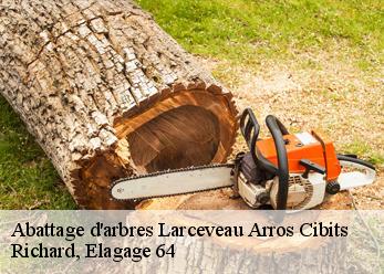 Abattage d'arbres  larceveau-arros-cibits-64120 Richard, Elagage 64