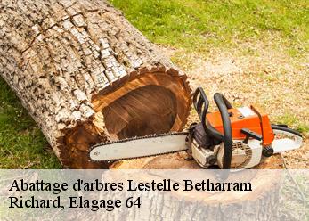 Abattage d'arbres lestelle-betharram-64800 Richard, Elagage 64