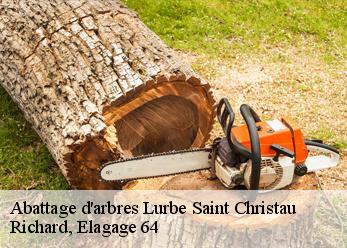 Abattage d'arbres  lurbe-saint-christau-64660 Richard, Elagage 64
