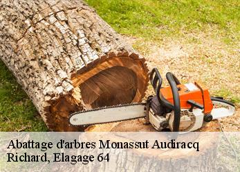 Abattage d'arbres monassut-audiracq-64160 Richard, Elagage 64