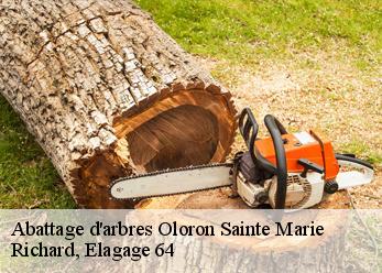 Abattage d'arbres oloron-sainte-marie-64400 Richard, Elagage 64