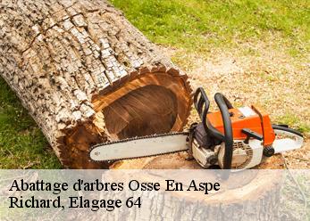 Abattage d'arbres osse-en-aspe-64490 Richard, Elagage 64
