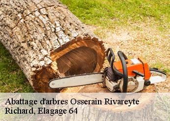 Abattage d'arbres osserain-rivareyte-64390 Richard, Elagage 64