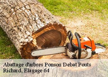 Abattage d'arbres  ponson-debat-pouts-64460 Richard, Elagage 64