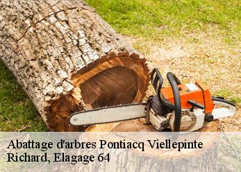 Abattage d'arbres pontiacq-viellepinte-64460 Richard, Elagage 64