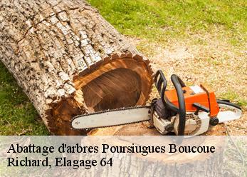 Abattage d'arbres  poursiugues-boucoue-64410 Richard, Elagage 64