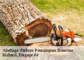 Abattage d'arbres poursiugues-boucoue-64410 Richard, Elagage 64