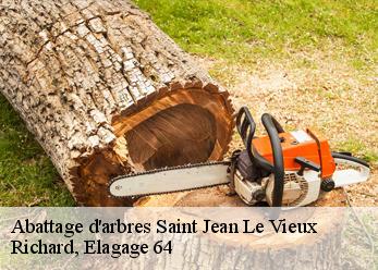 Abattage d'arbres  saint-jean-le-vieux-64220 Richard, Elagage 64