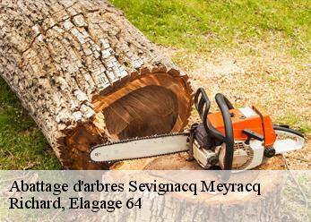 Abattage d'arbres  sevignacq-meyracq-64260 Richard, Elagage 64