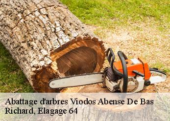 Abattage d'arbres viodos-abense-de-bas-64130 Richard, Elagage 64