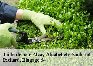 Taille de haie  alcay-alcabehety-sunharet-64470 Richard, Elagage 64