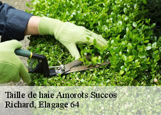 Taille de haie  amorots-succos-64120 Richard, Elagage 64