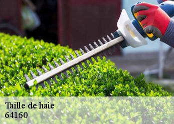 Taille de haie  64160